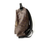 Louis Vuitton Palm Springs PM Backpack